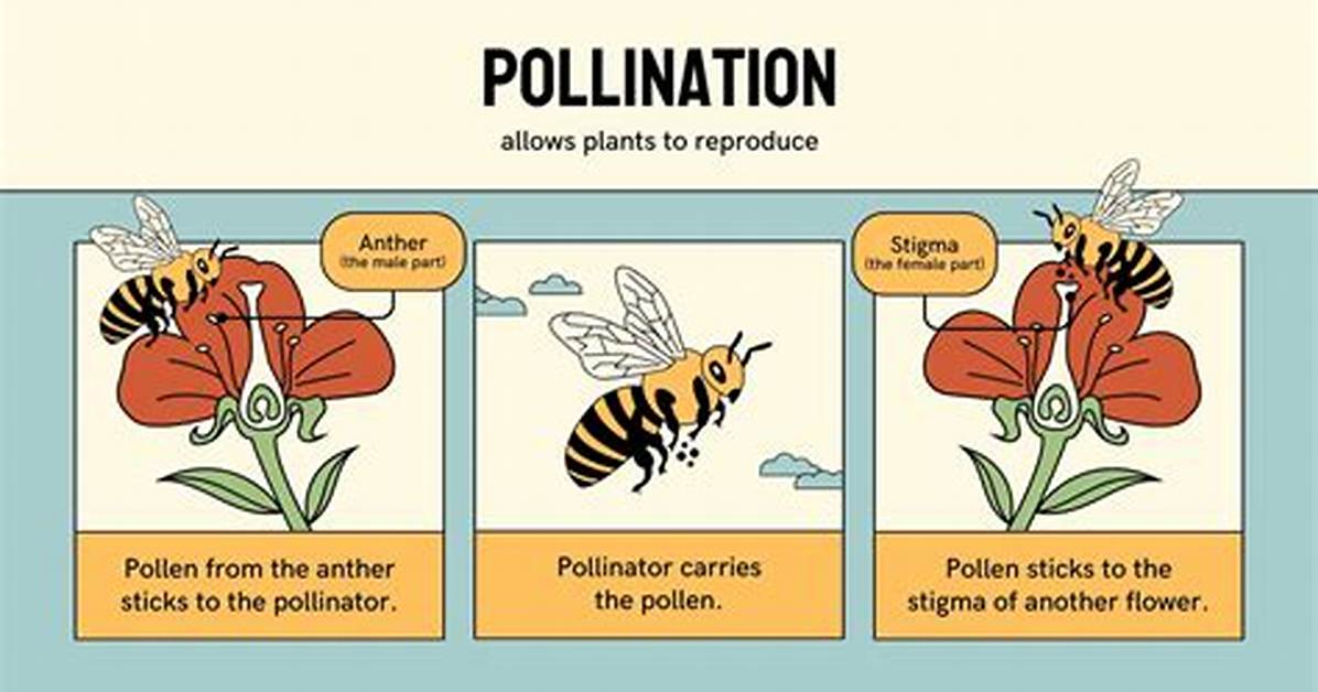 Can Humans Pollinate