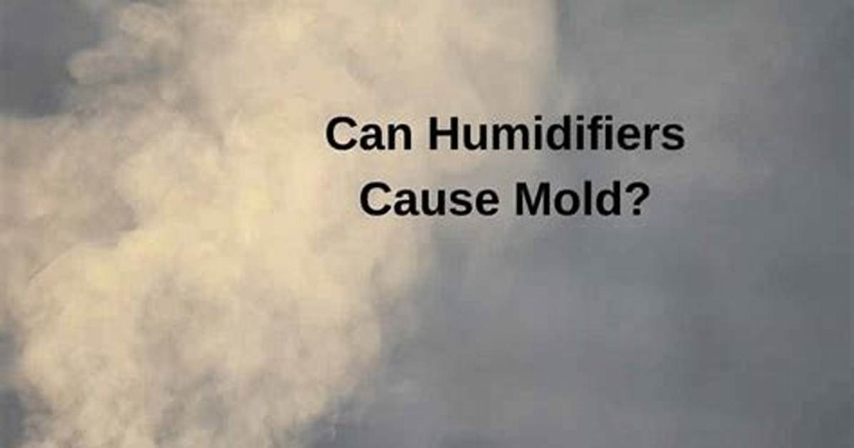 Can Humidifiers Cause Mold?
