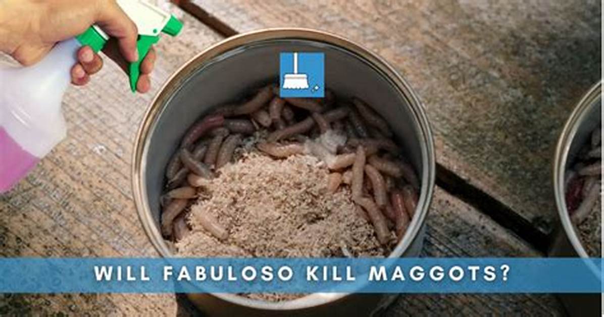 Can Hydrogen Peroxide Kill Maggots?