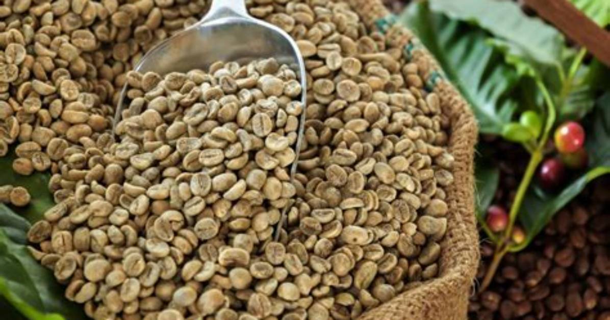 Can I Chew Coffee Beans