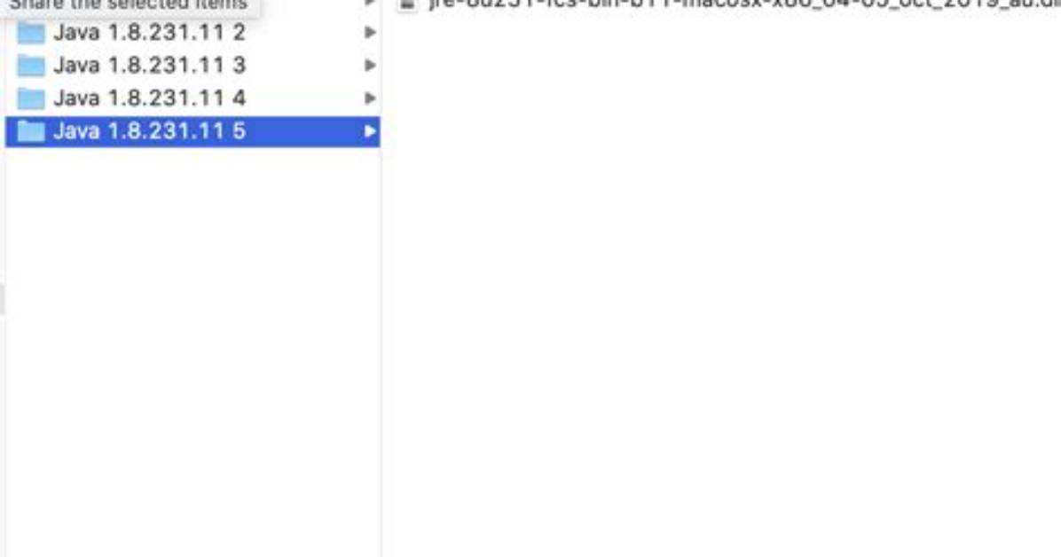Can I Delete the Java Folders in ~Library/Application Support?