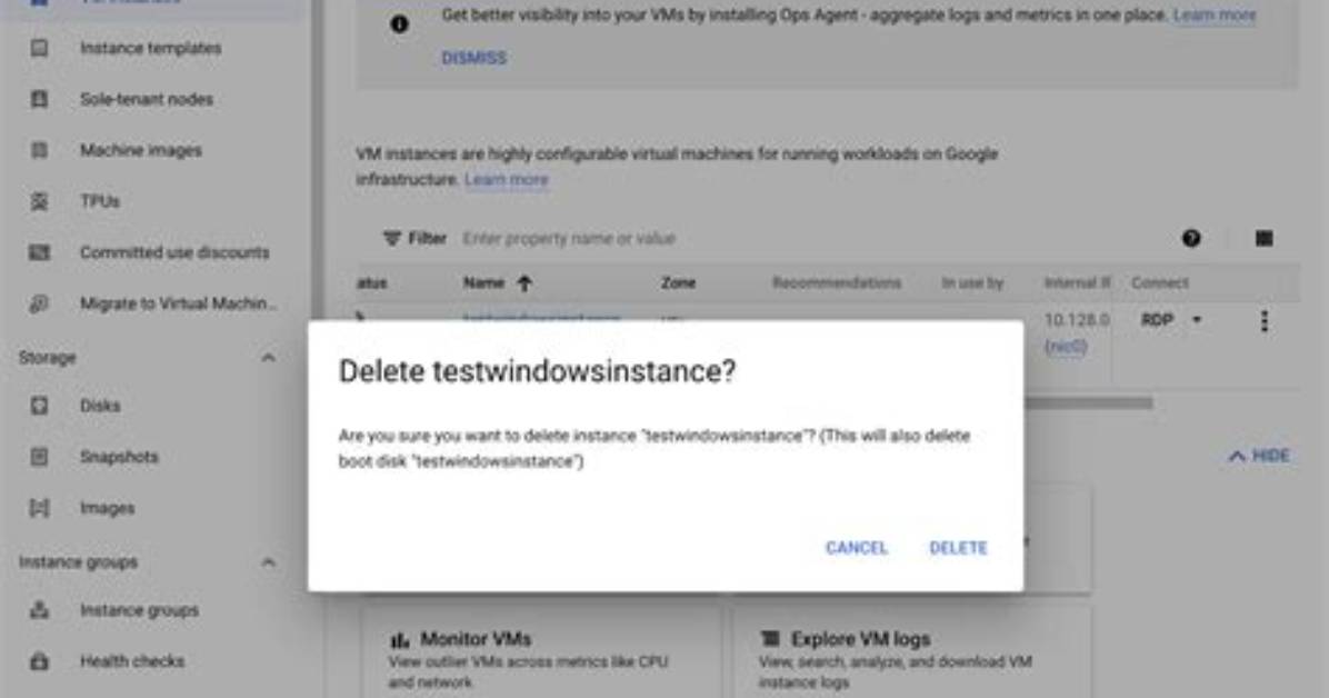 Can I Delete the Terminalted Instance by Aws Ec2?