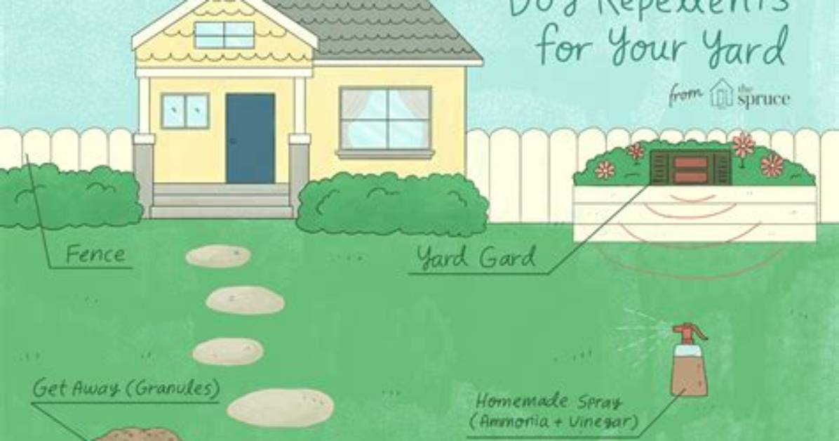 Can I Have My Yard Sprayed for Ticks
