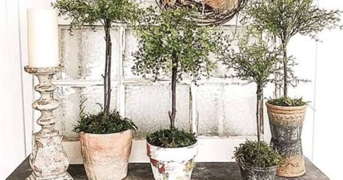 Can I Make Topiaries?