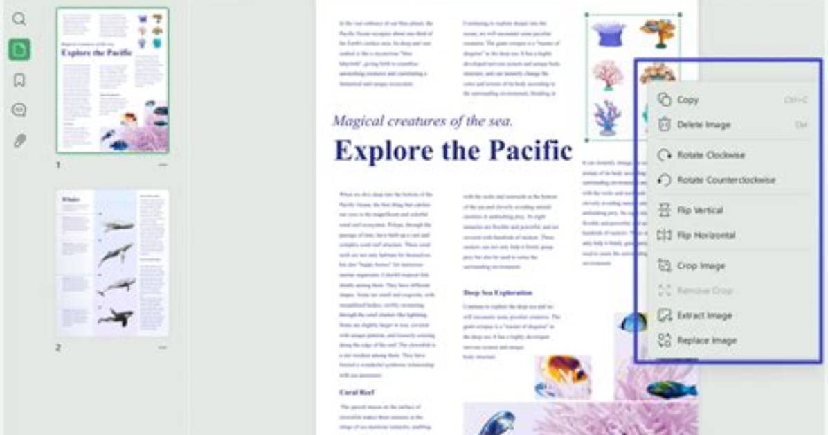 Can I Modify a Pdf Document?