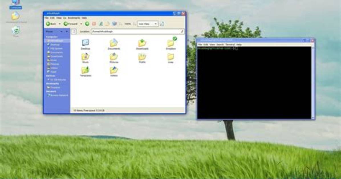 Can I Replace Windows Xp with Linux?