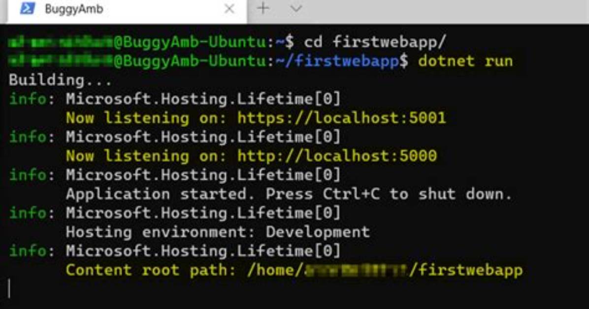 Can I Run Dotnet Application on Linux?