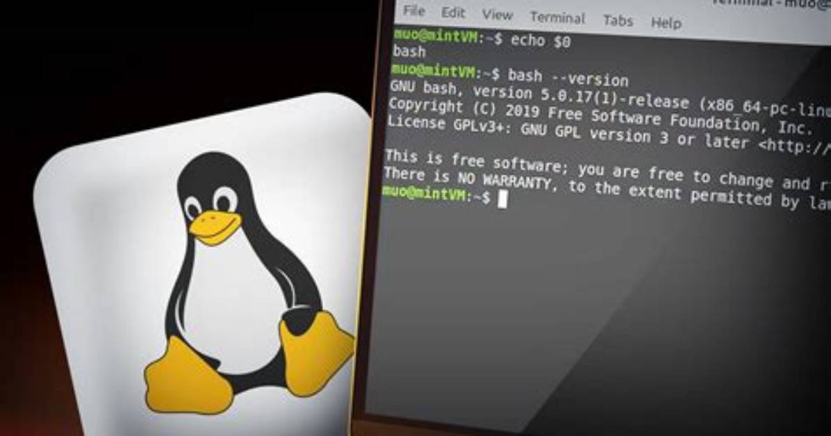 Can I Use Linux Commercially?