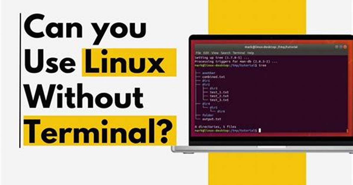 Can I Use Linux Without Terminal?