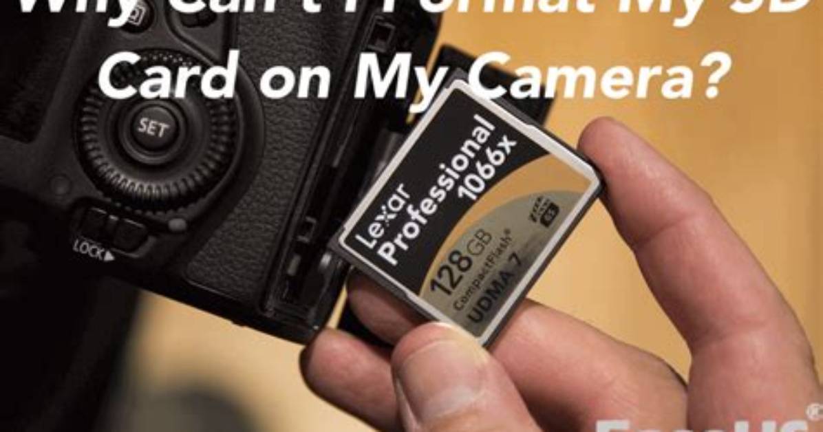 Can I Use My Old Sd Card on My New Switch?