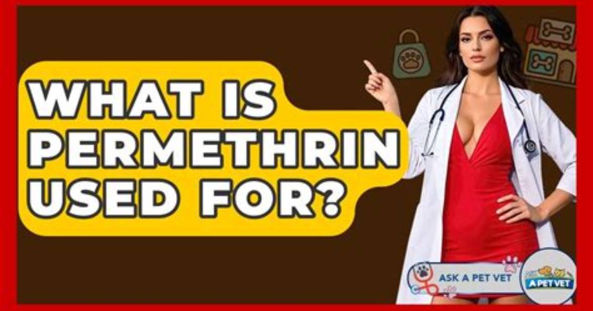 Can I Use Permethrin Everyday