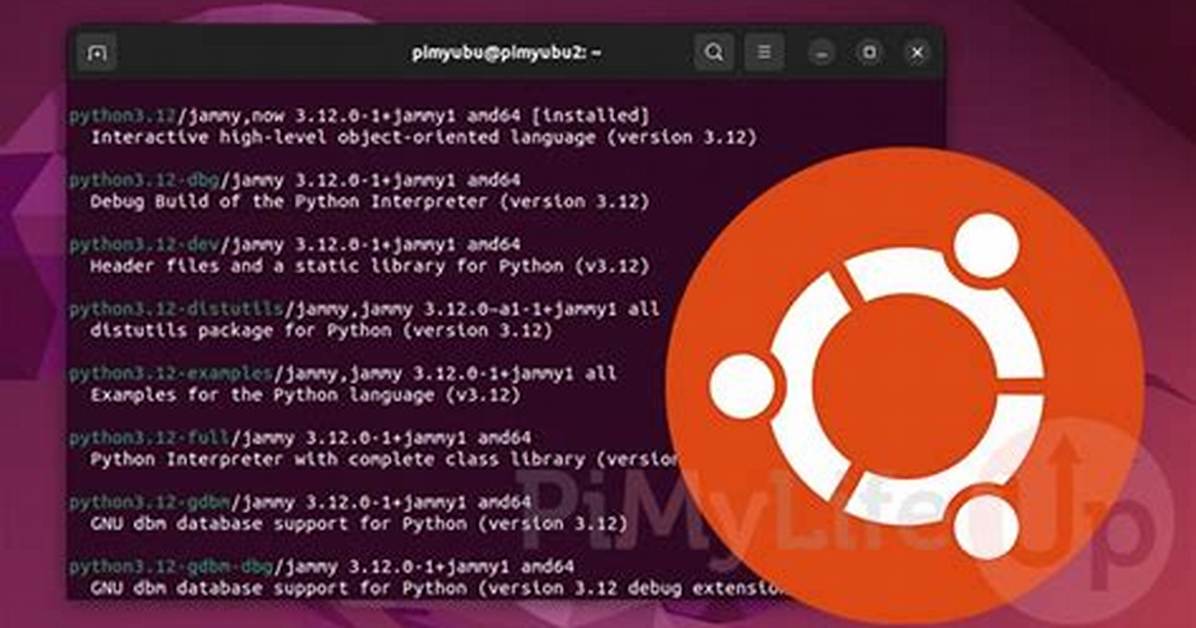 Can I Use Python in Ubuntu?