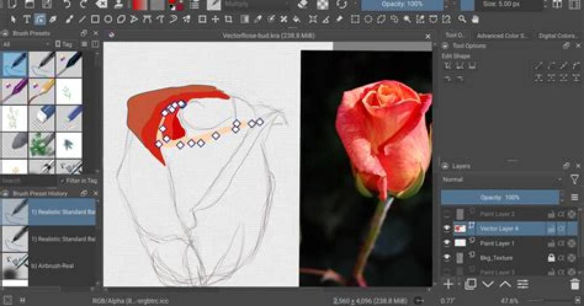 Can Krita Do Vector?