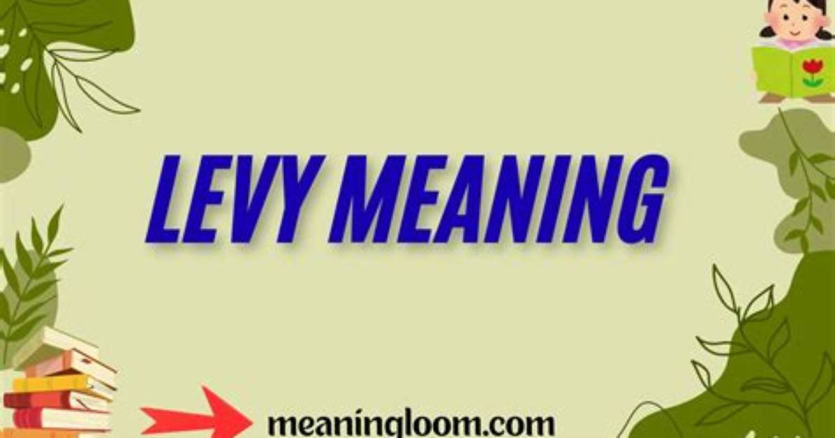 Can Levy Be a Noun?