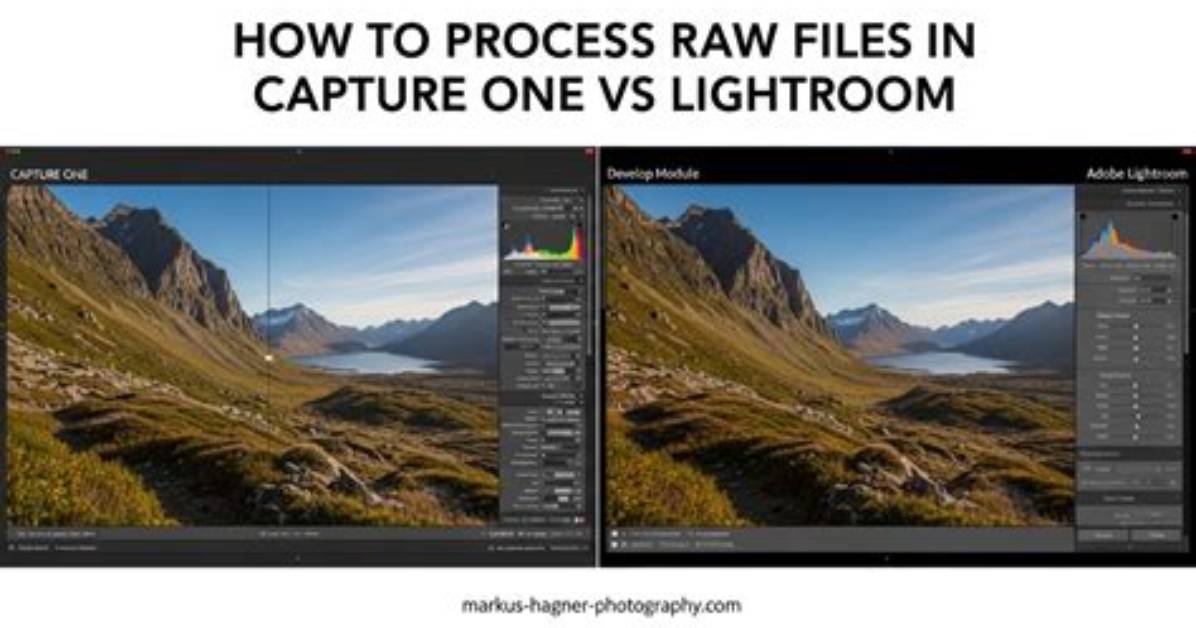 Can Lightroom Read Raw Files?