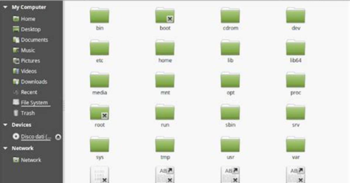 Can Linux Mint Read Fat32?