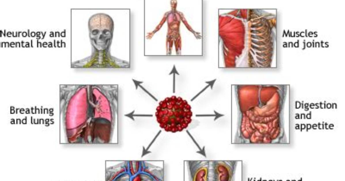 Can Long Covid Cause Bowel Problems?