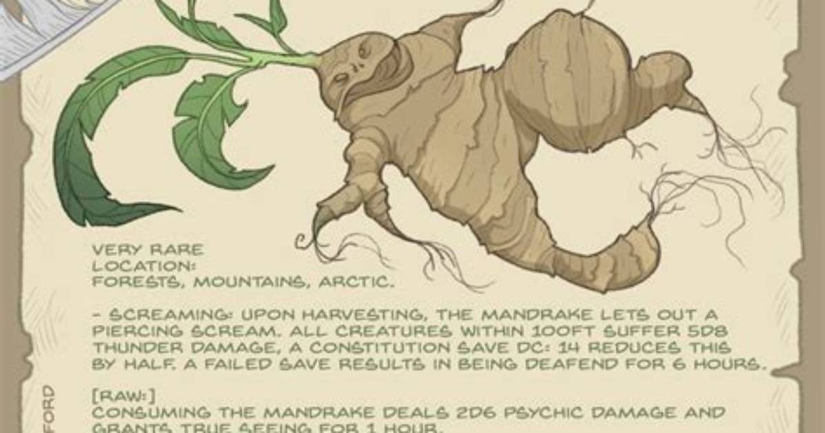 Can Mandrake Kill You