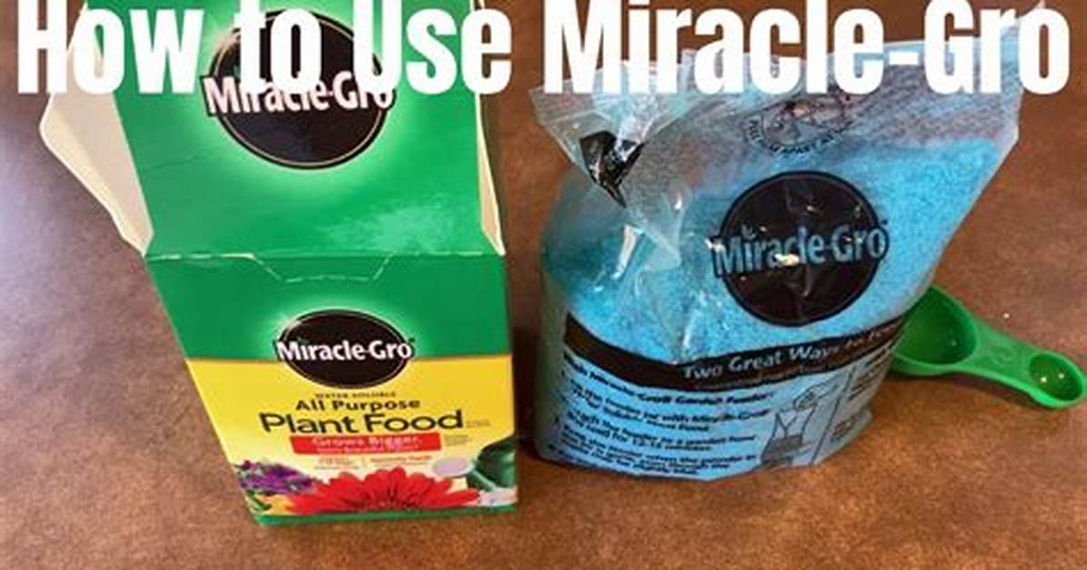 Can Miracle Gro Kill Plants?