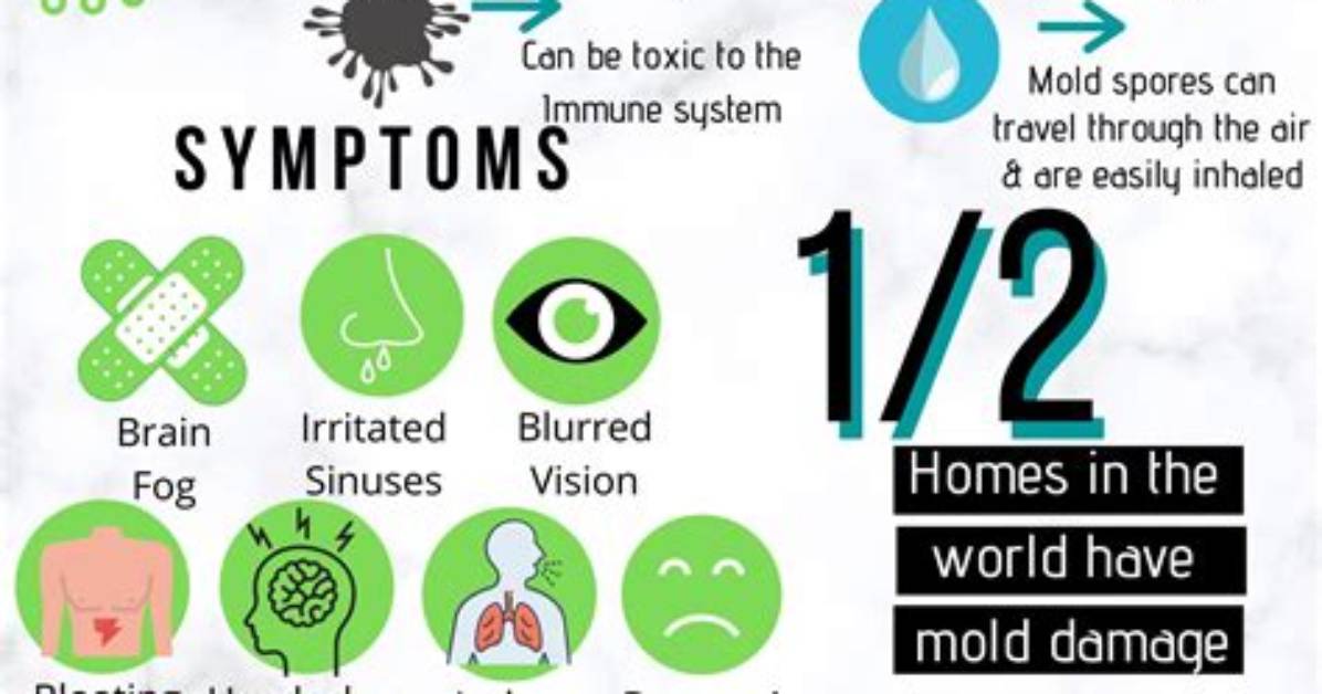 Can Mold Make You Sick?