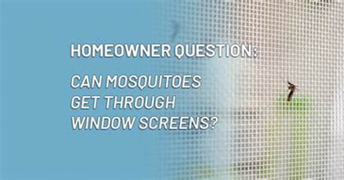 Can Mosquitos Get Through Window Screens