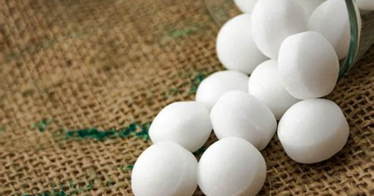 Can Mothballs Cause Death
