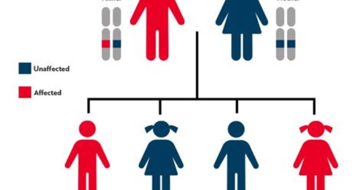 Can Mutations Be Genetically Inherited?