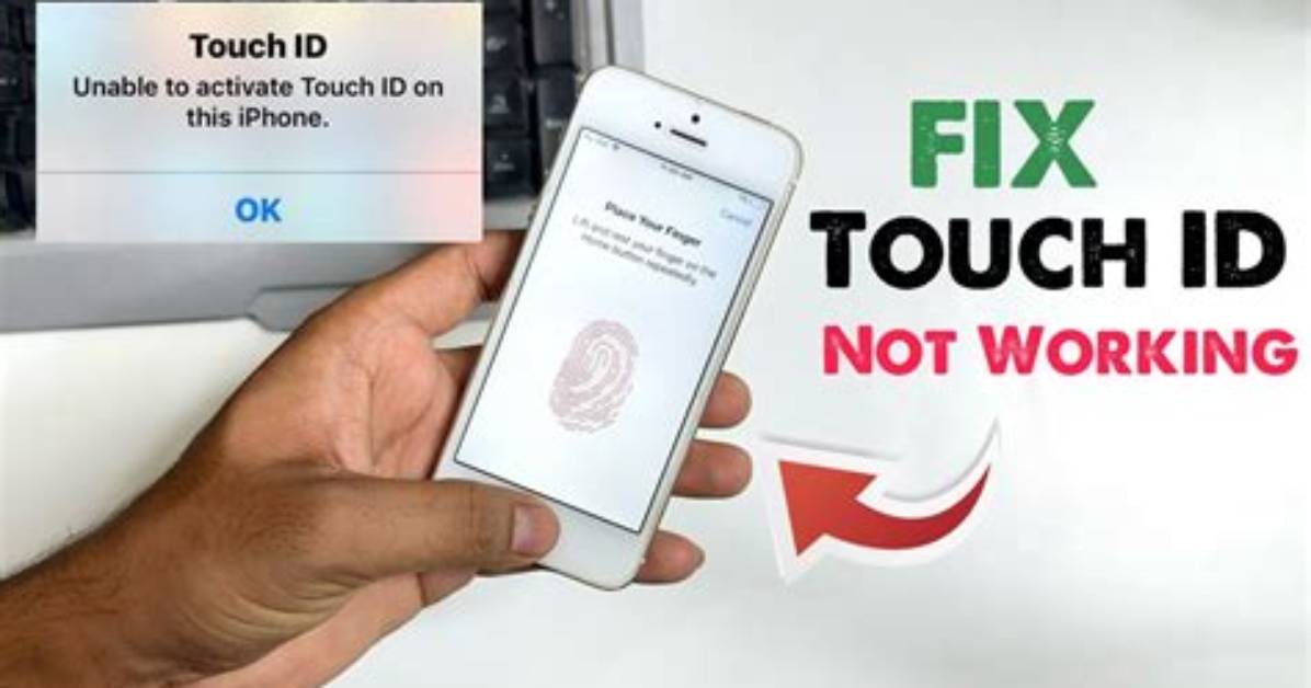 Can My Touch Id Be Fixed?