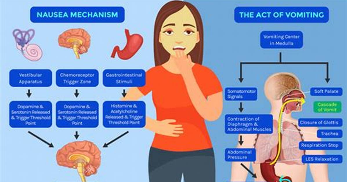 Can Nausea Be Cured?