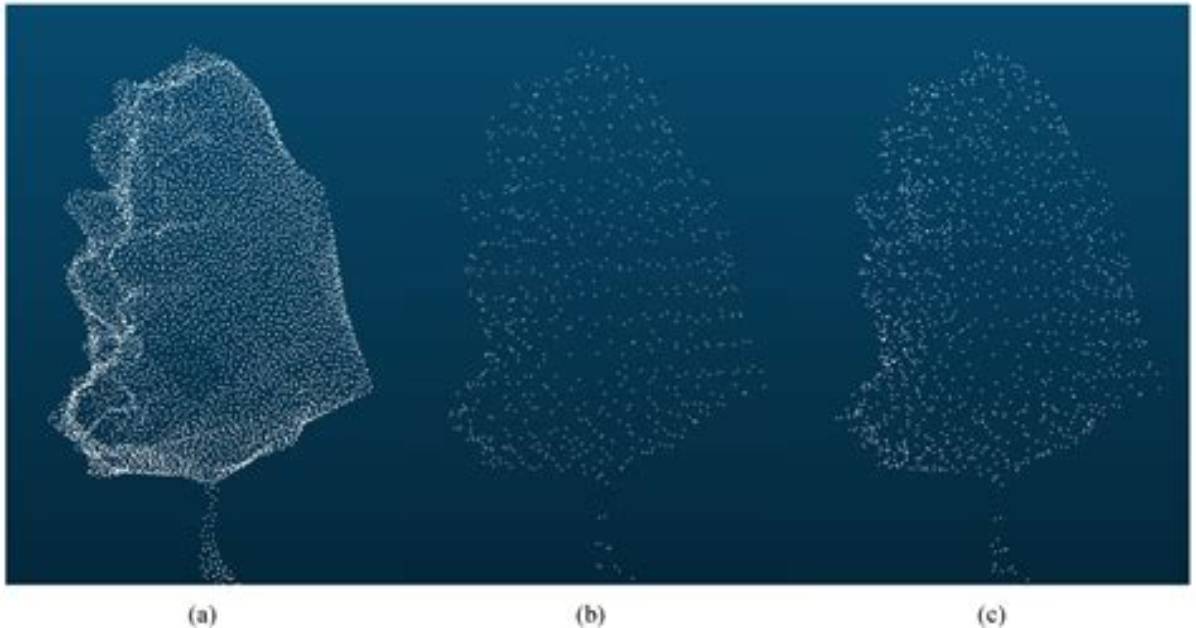 Can Not Downsample a Point Cloud in Open3D