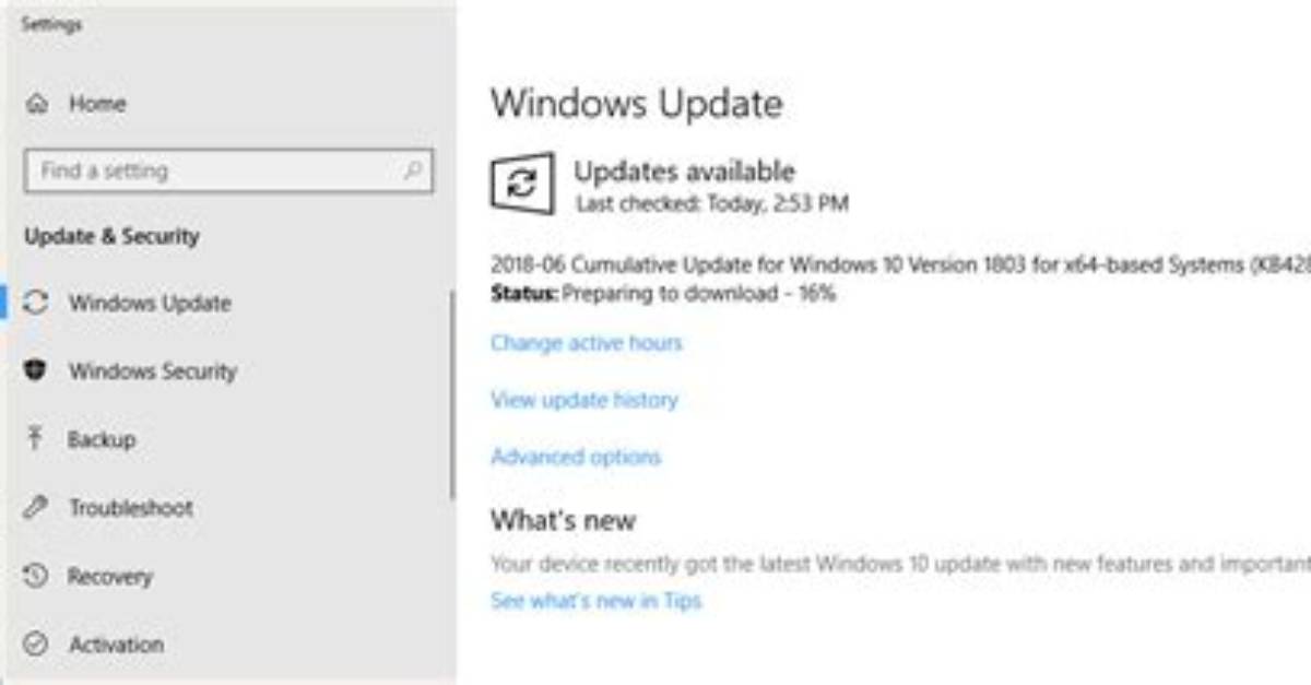 Can Not Update Windows 10 1803?