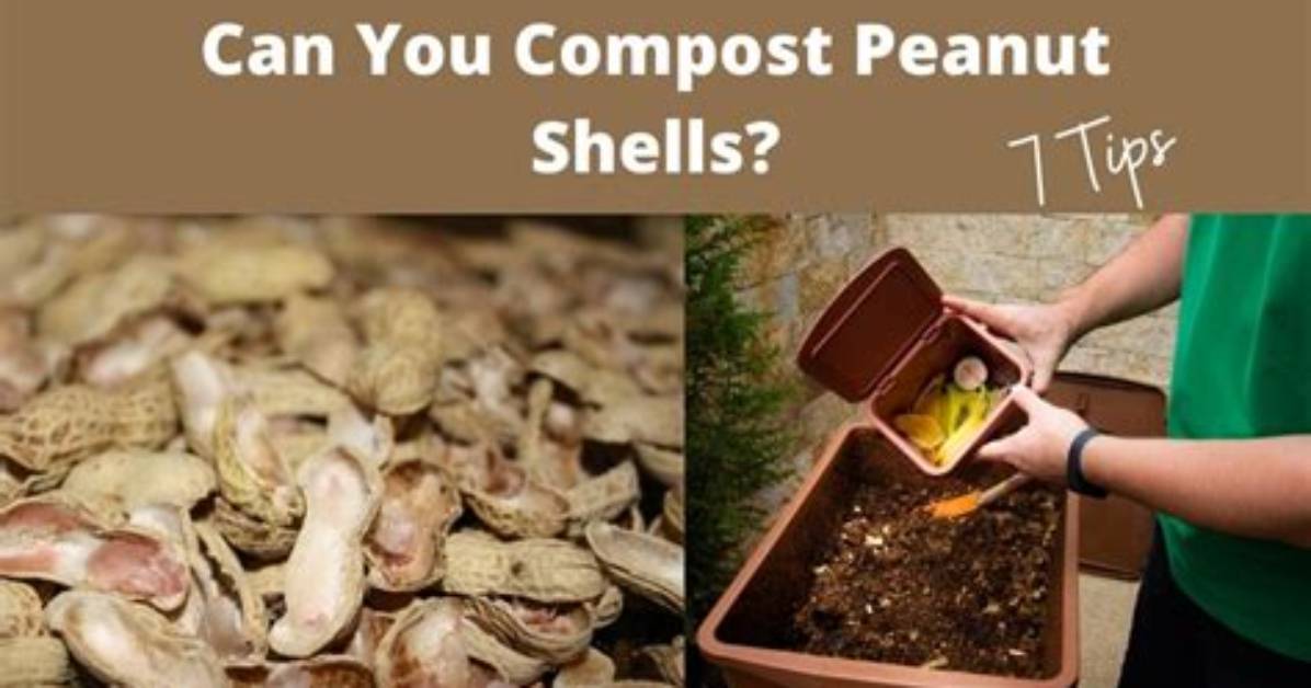 Can Nut Shells Be Composted?