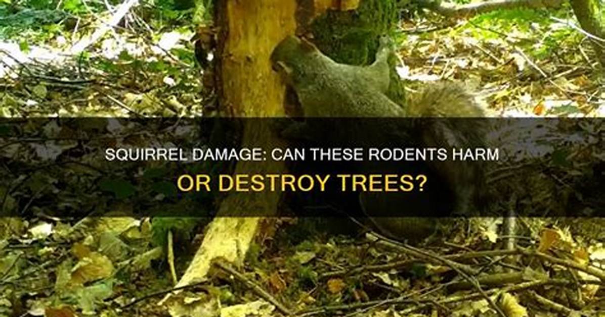 Can Onagers Destroy Trees?