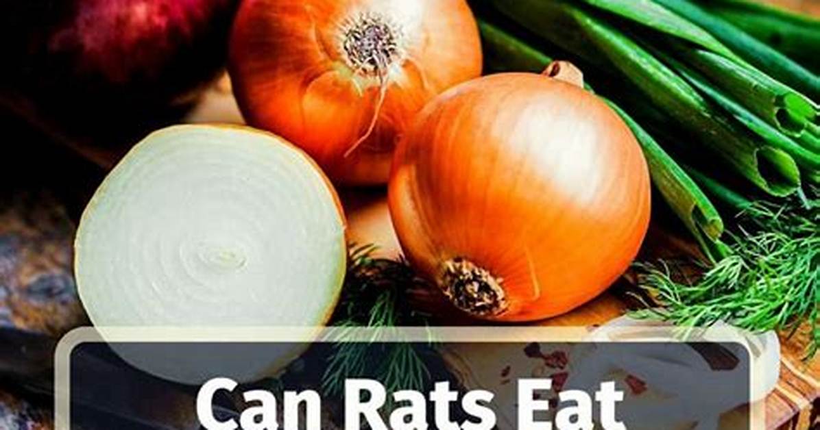 Can Onions Kill Rats?