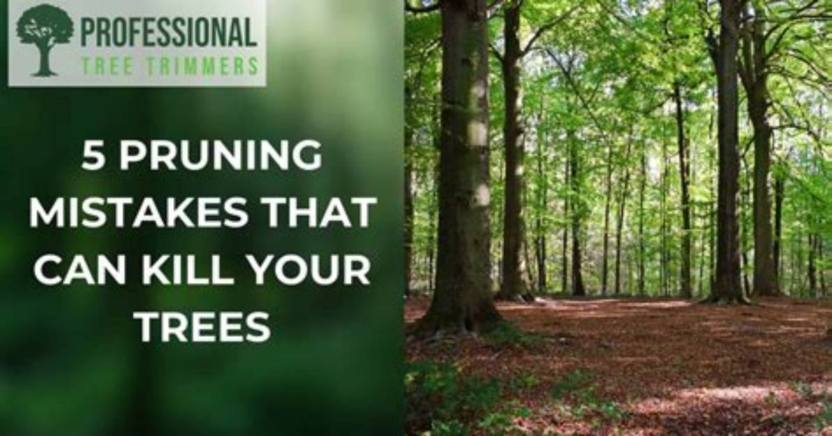 Can over Pruning Kill a Tree