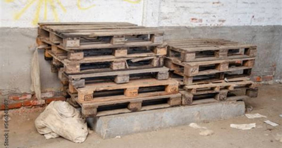 Can Pallets Get Wet?