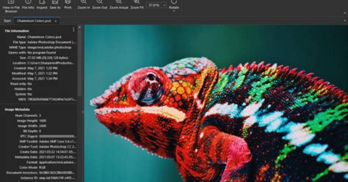 Can Pixlr Open Psd?