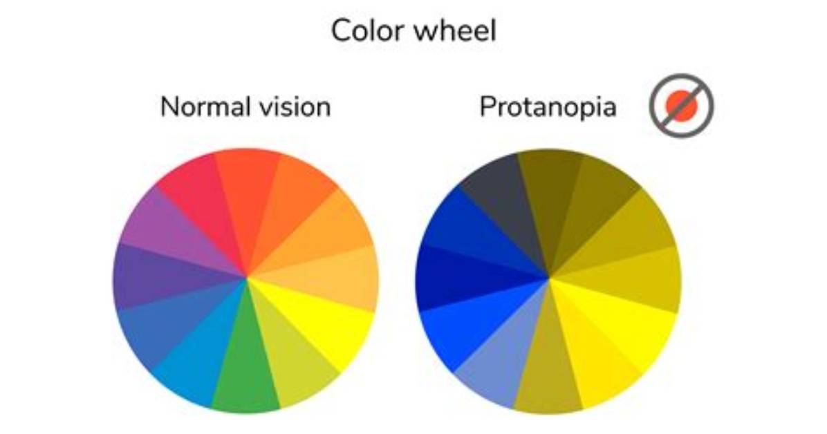 Can Protanopia Be Corrected?