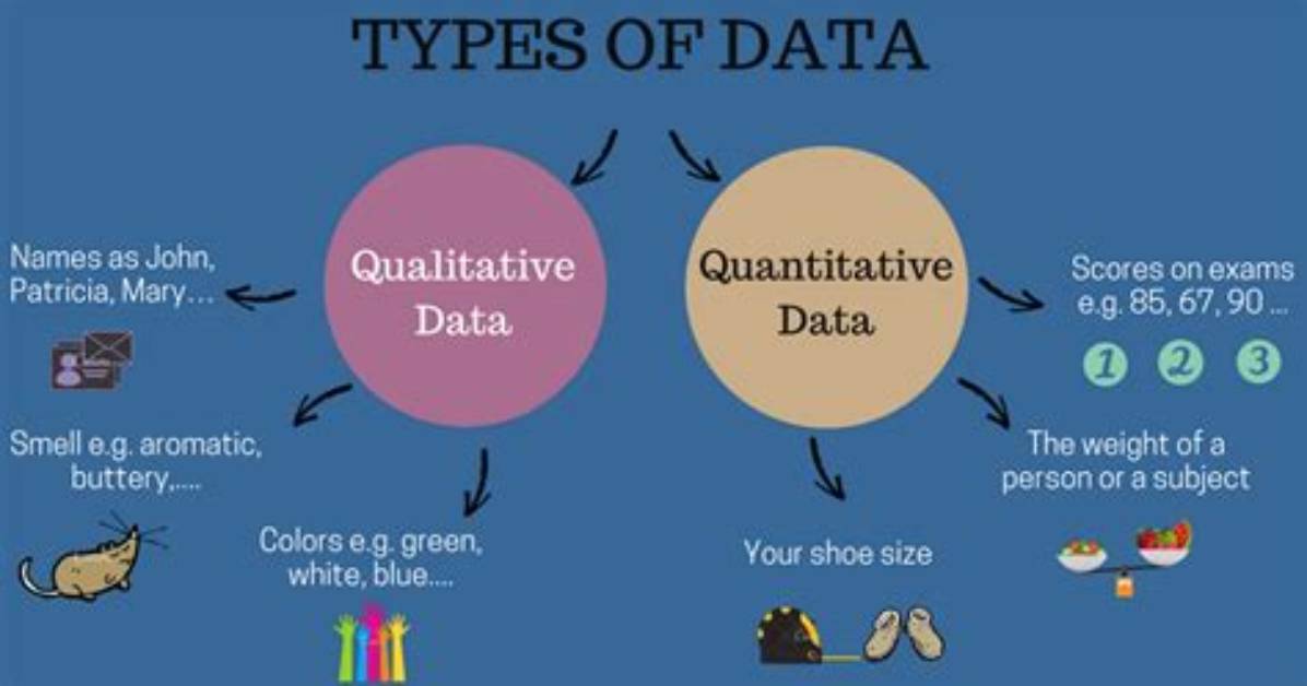 Can Qualitative Data Be Measured?