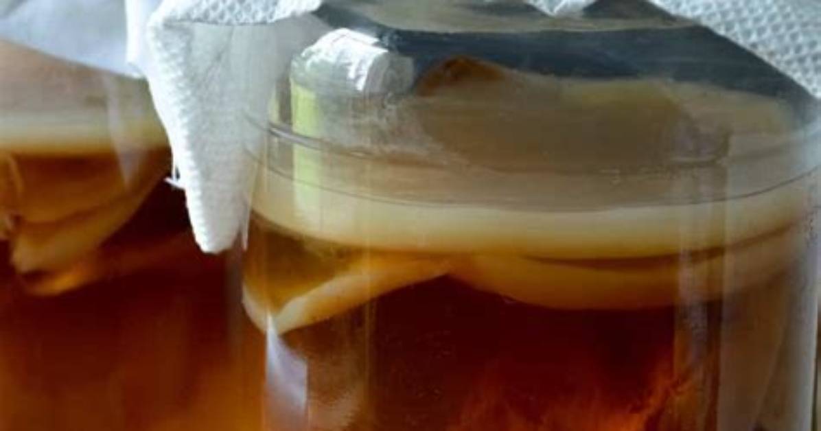 Can Scoby Be Washed?