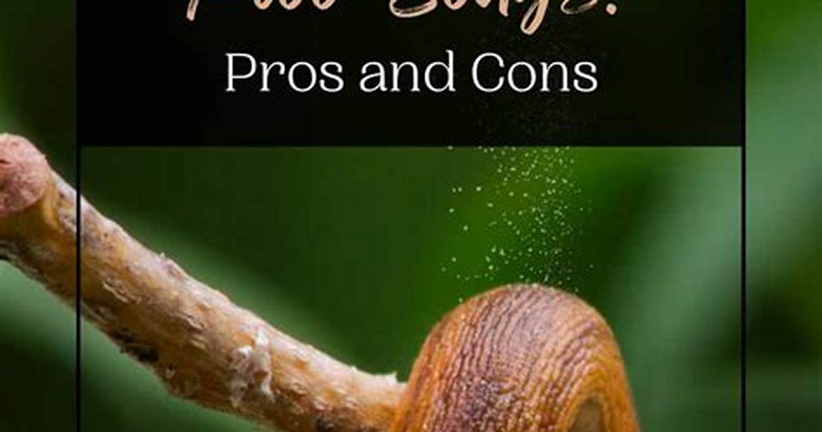 Can Slugs Kill You?