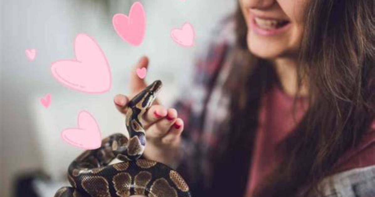 Can Snakes Love?