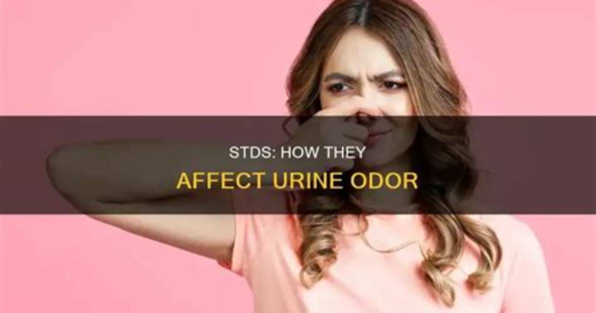 Can Std Affect Your Urine
