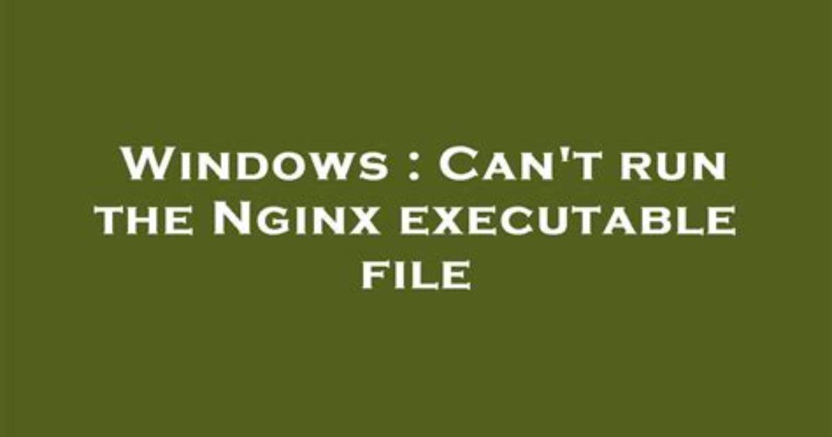 Can't Run the Nginx Executable File