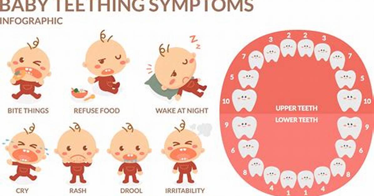 Can Teething Cause a Fever?
