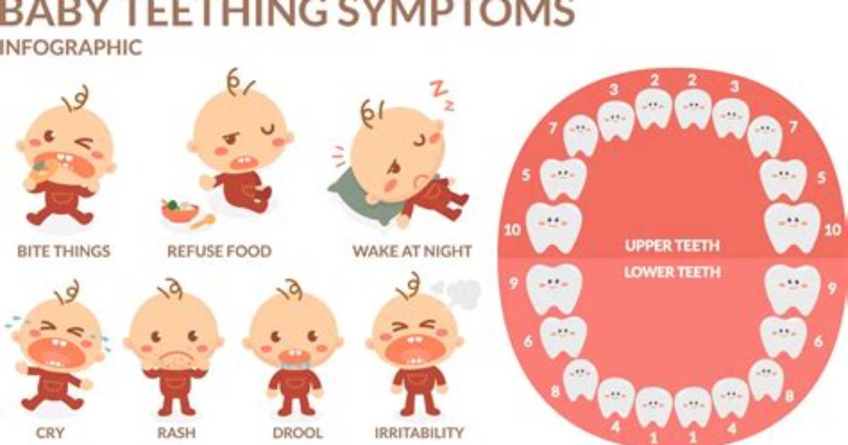 Can Teething Cause Fever?
