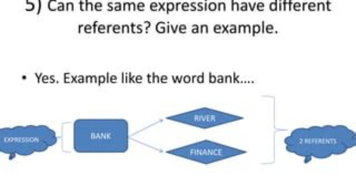 Can the Same Expression Have Different Referents?