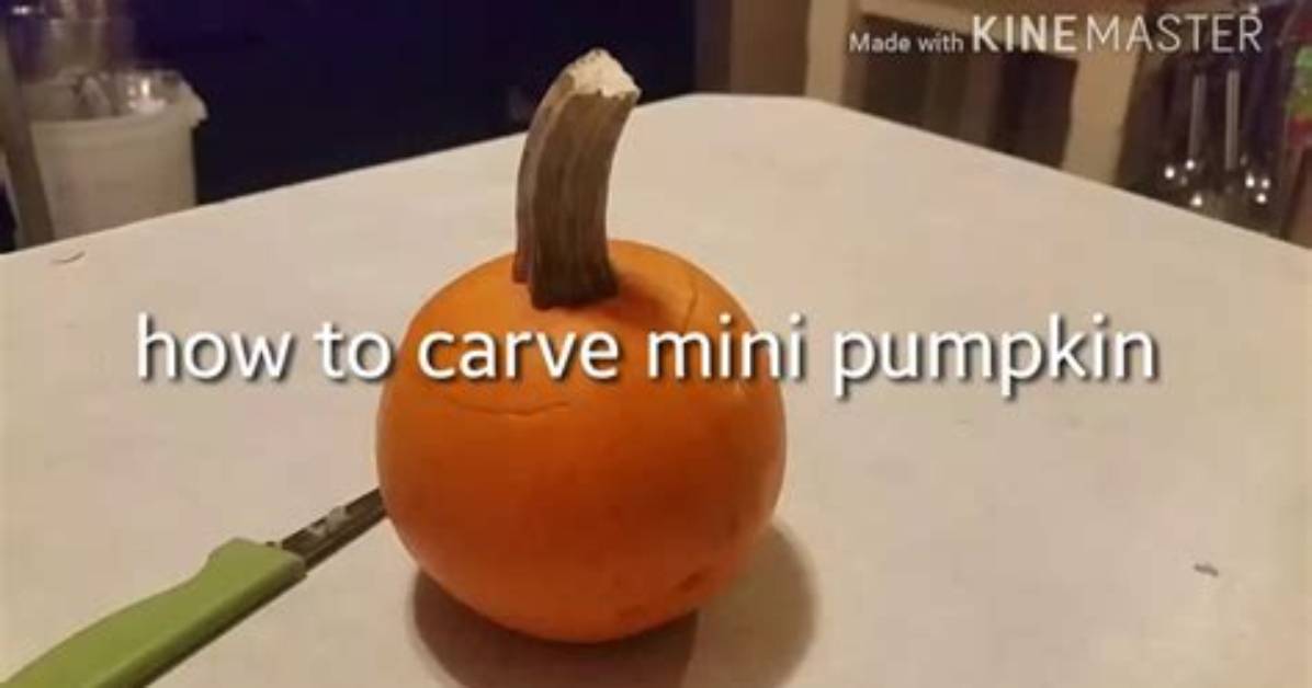 Can U Carve Mini Pumpkins