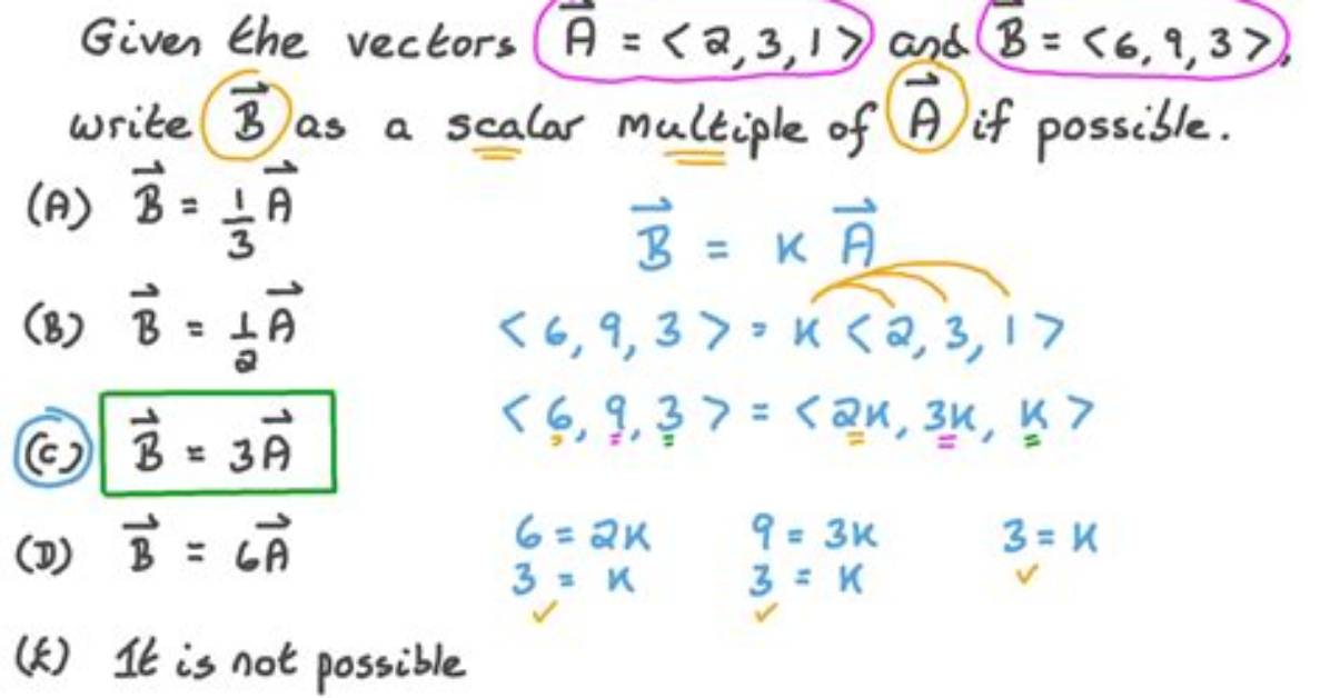 Can Vectors Be Multiplied?