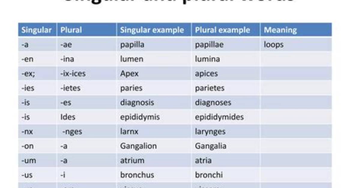 Can Viscus Be Plural?